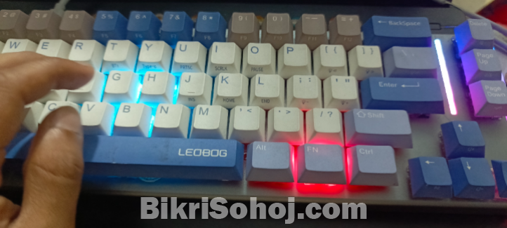 Leobog K67 Mechanical Keyboard